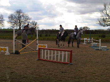 Young Horse Training with Andrew Saywell 5 year old and 7 year old space left!